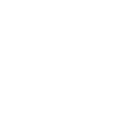 Icon AI